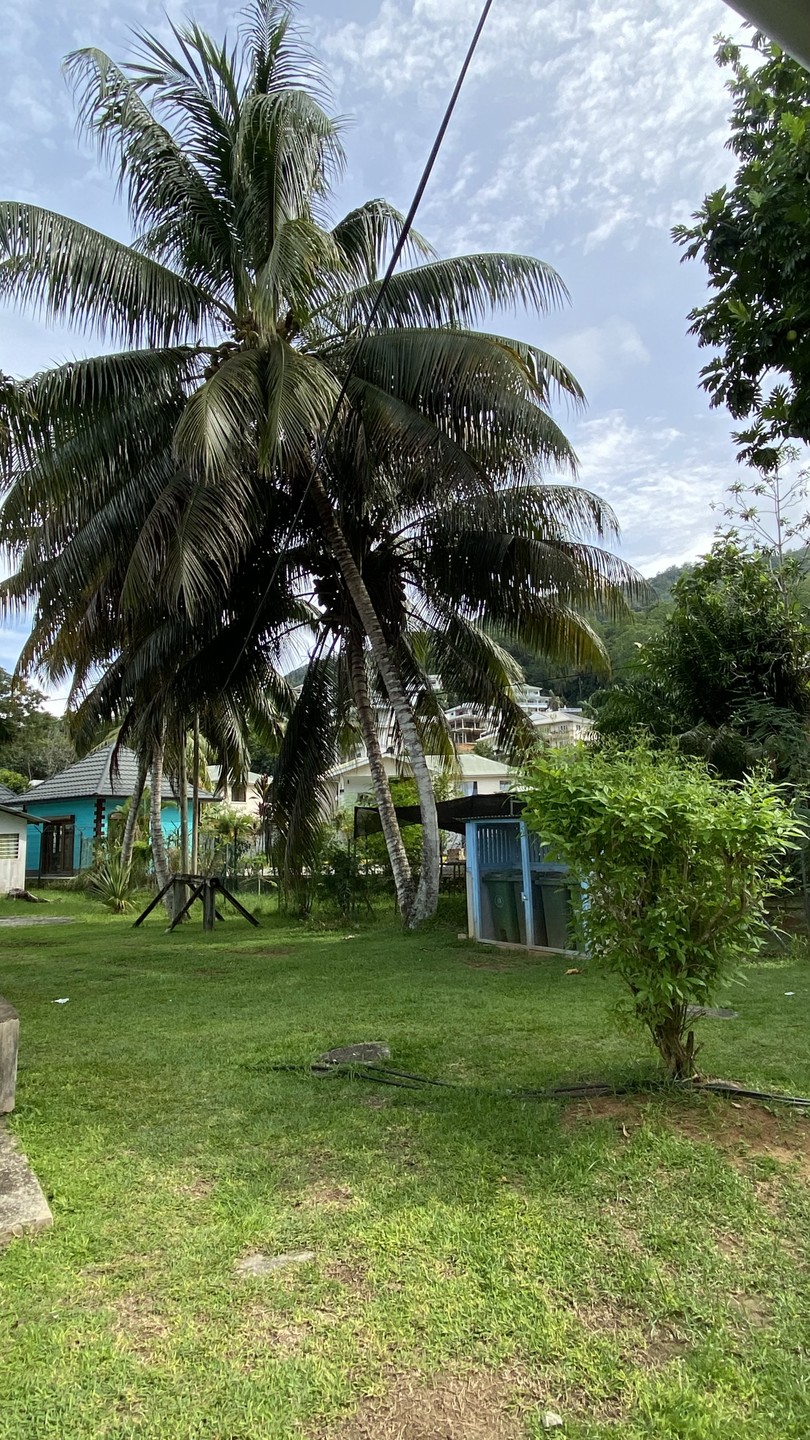 Остров Маэ удивил красотой, разнообразной природой, потрясающими видами, интересными локациями, не известными обычному туристу, за что