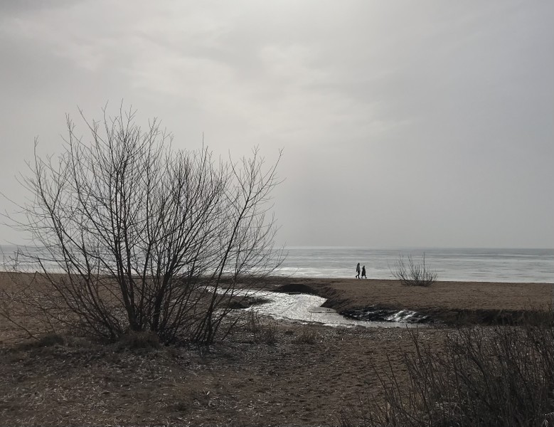 Виды Комарово и дачный Петербург