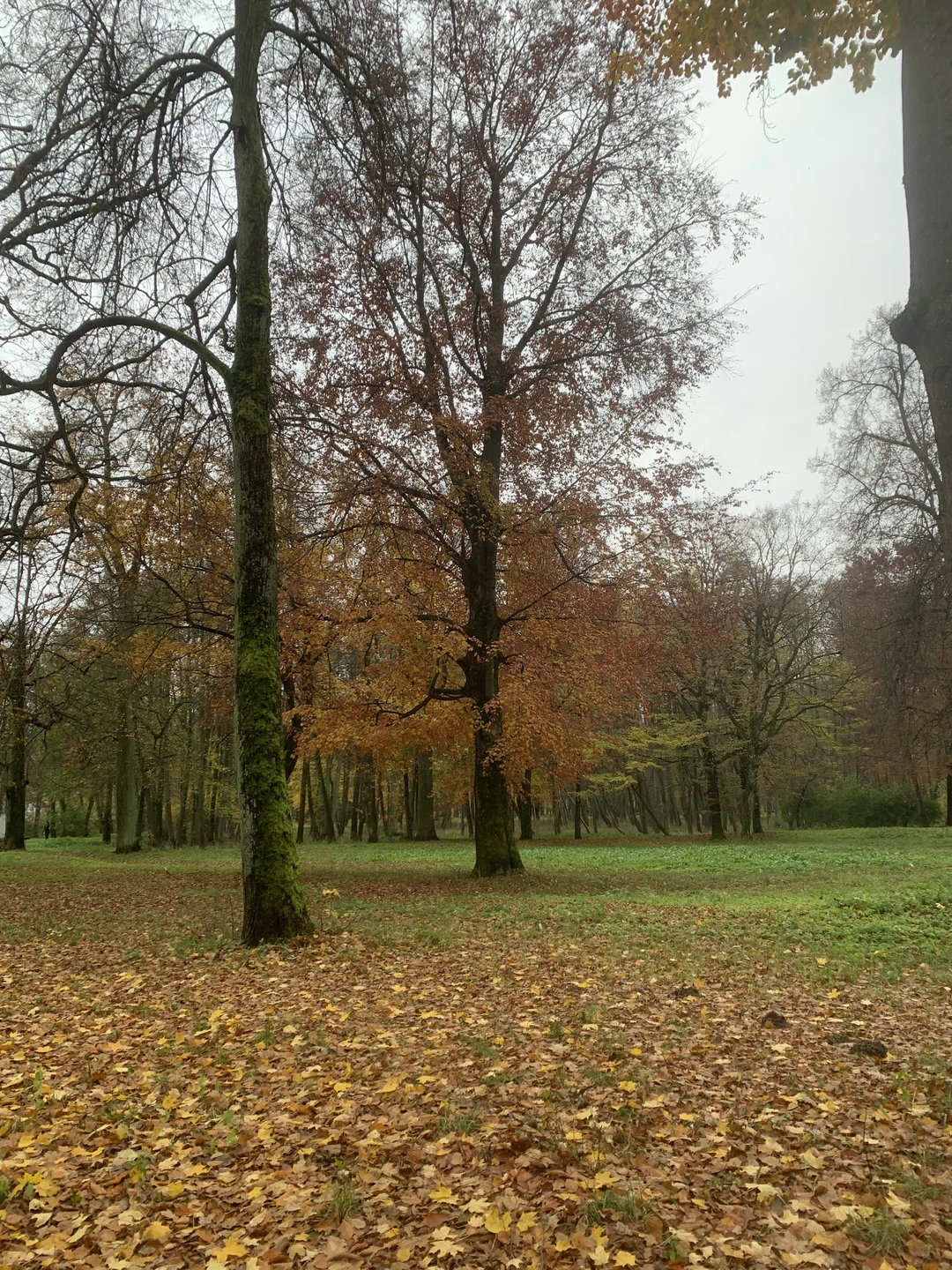 Гид Светлана большая молодец, много рассказала и показала в Советске. Не хватило интересного в Немане (соотношение