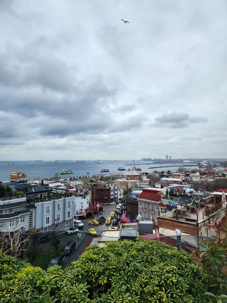 Азбука вкусов Стамбула (Anton)