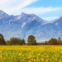 Чем известны Саянские горы