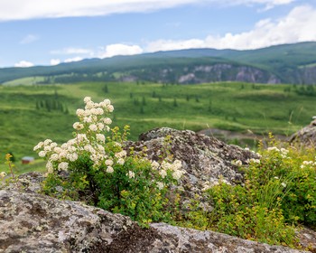 Каракольская долина