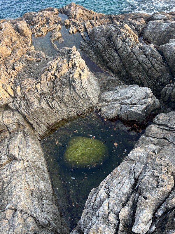 Виды Бухты южного Приморья и парк «Белый лев» — из Владивостока