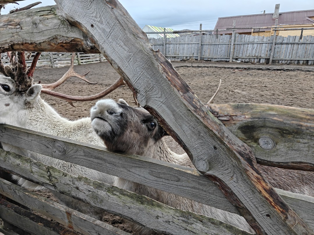 Красоты Териберки и выход в море на поиски китов (Александр)