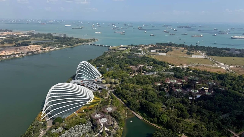 Прекрасный гид Марина, 20 лет проживающая в Сингапуре, знающая этот город изнутри. В процессе экскурсии освещаются