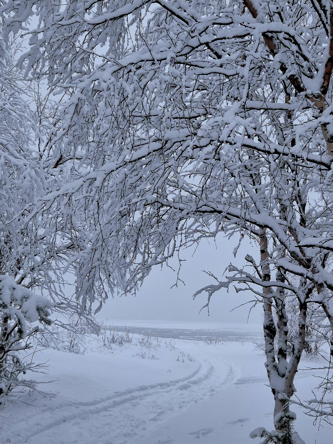 Замечательная экскурсия с отличным гидом. Мои только положительные комментарии и отзывы Сергею. Интересный рассказчик, абсолютный учет