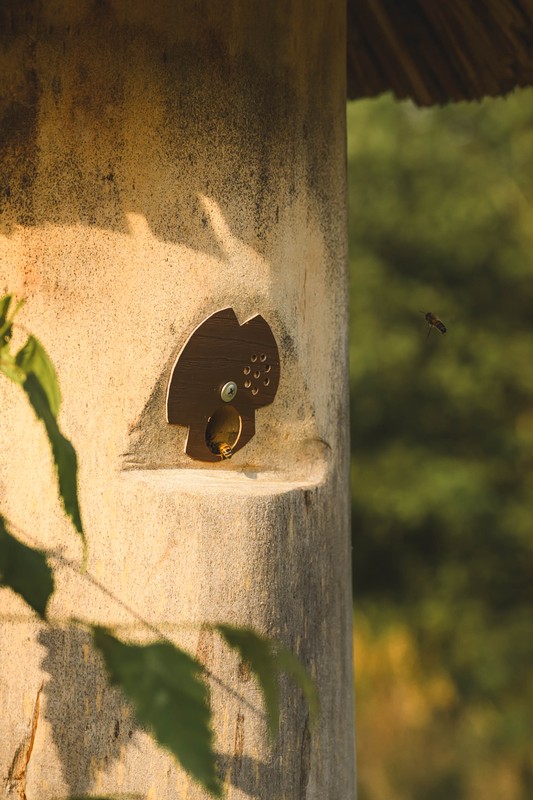 Медовое рандеву с ПчелОвеком на пасеке недалеко от Твери