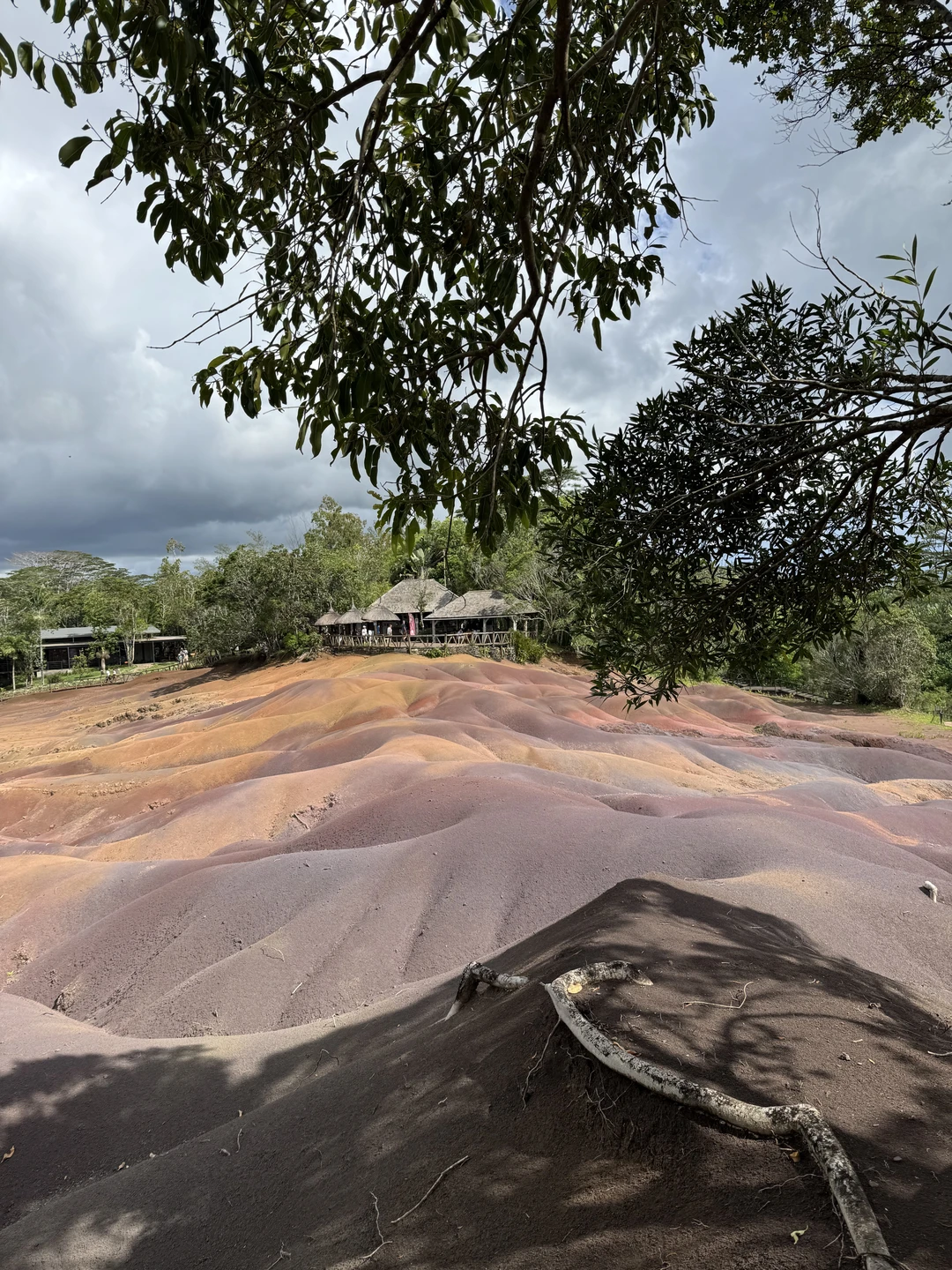 Отличная и познавательная экскурсия об острове Маврикий. Анна отличный гид, хорошо спланированный маршрут, включающий не туристические