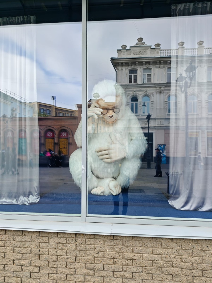 Внимательная прогулка по Нижнему Новгороду с краеведом (марина)