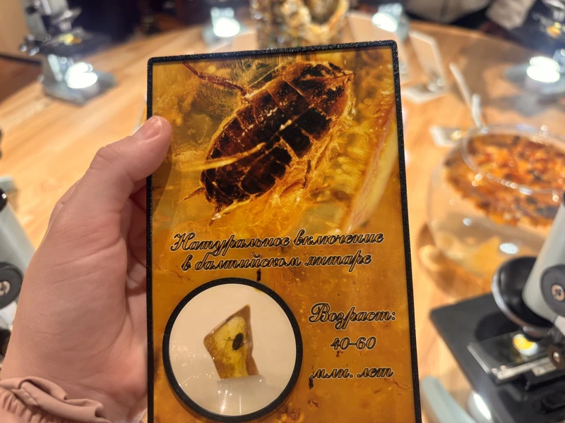 Калининград: самый смак за 3 часа (ольга)