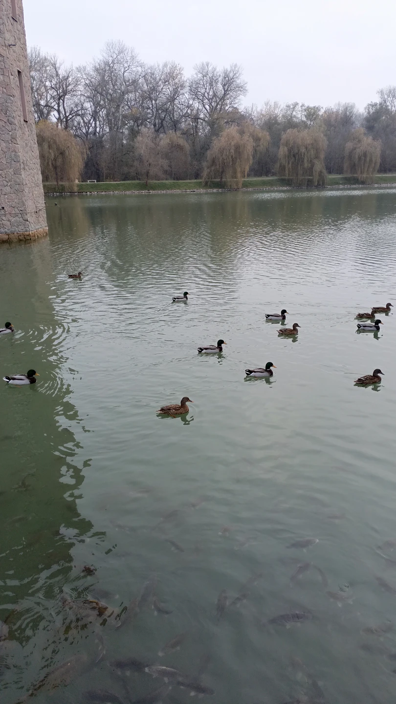 8 ноября 25 г. мы заказали на Трипстере экскурсию к Чегемским водопадам и замок Шато Эркен