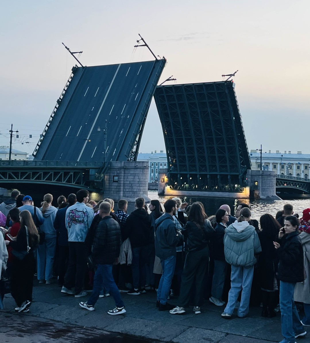Петербург на микроавтобусе с панорамной крышей (Дарья)