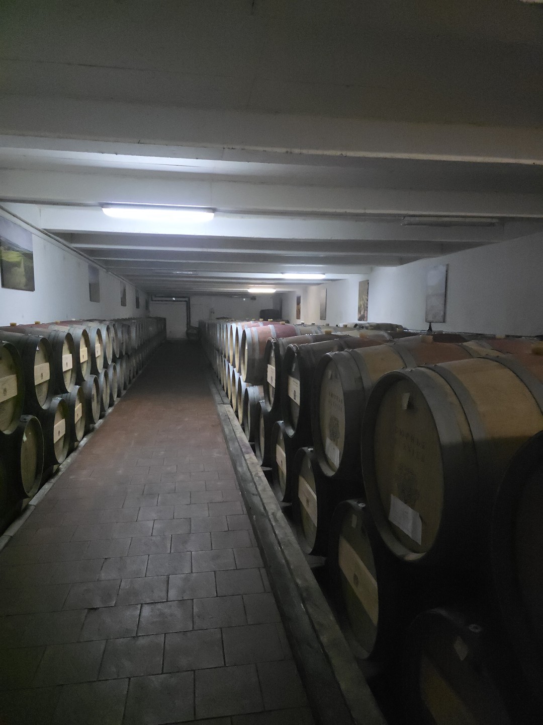 Винные открытия: Скалистый берег, Шумринка и Гай-Кодзор (Марина)