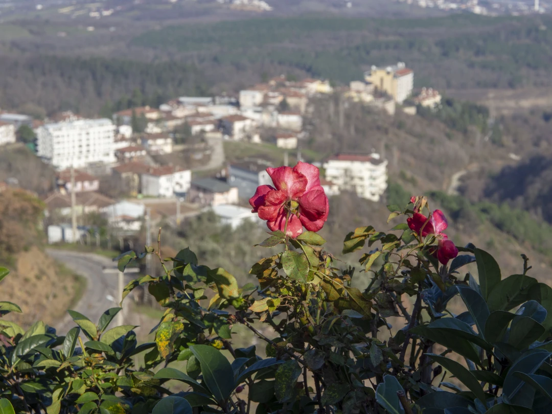 Отличная экскурсия. Рекомендую ее не сразу после прибытия в Стамбул, а после экскурсий по городу. Это