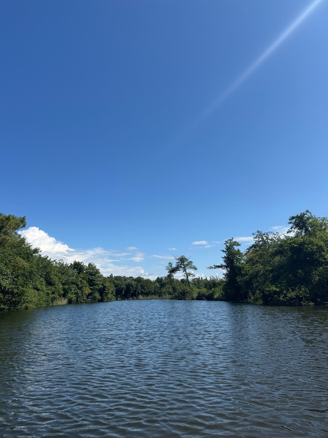Для тех кто любит активный отдых, особенно водные и вело-прогулки. Все прошло отлично, увлекательно и в