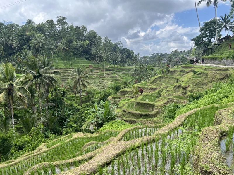 Деревня Кинтамани, водопад и скрытый каньон