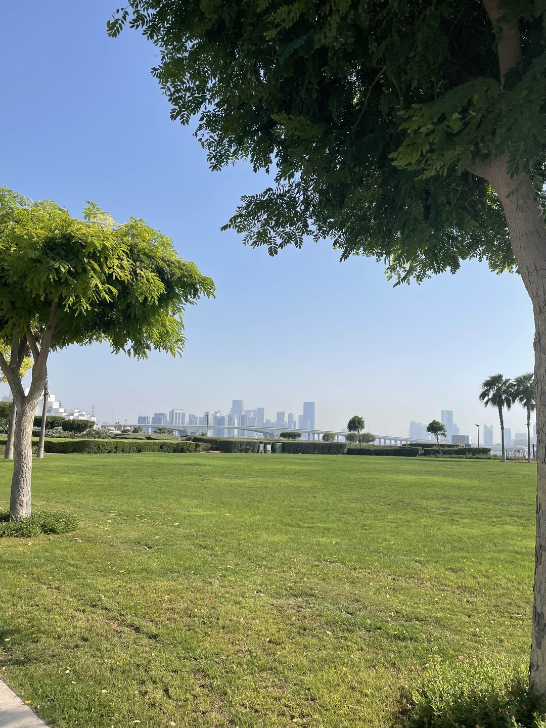 Билеты в музей «Лувр» в Абу-Даби (Дарья)