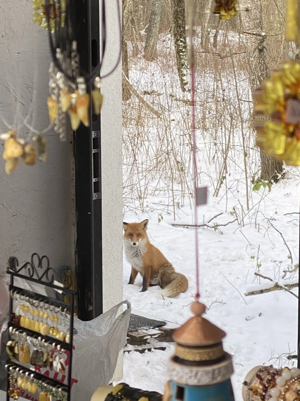 Виллы, форт, коса, курорт… и замок (Елена)