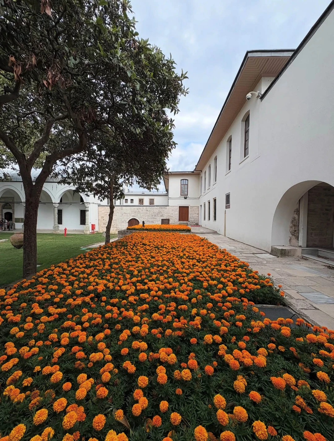 Экскурсия по Султанахмету стала для меня настоящим открытием: дворец Топкапы, наследие Османской империи, слои древних эпох