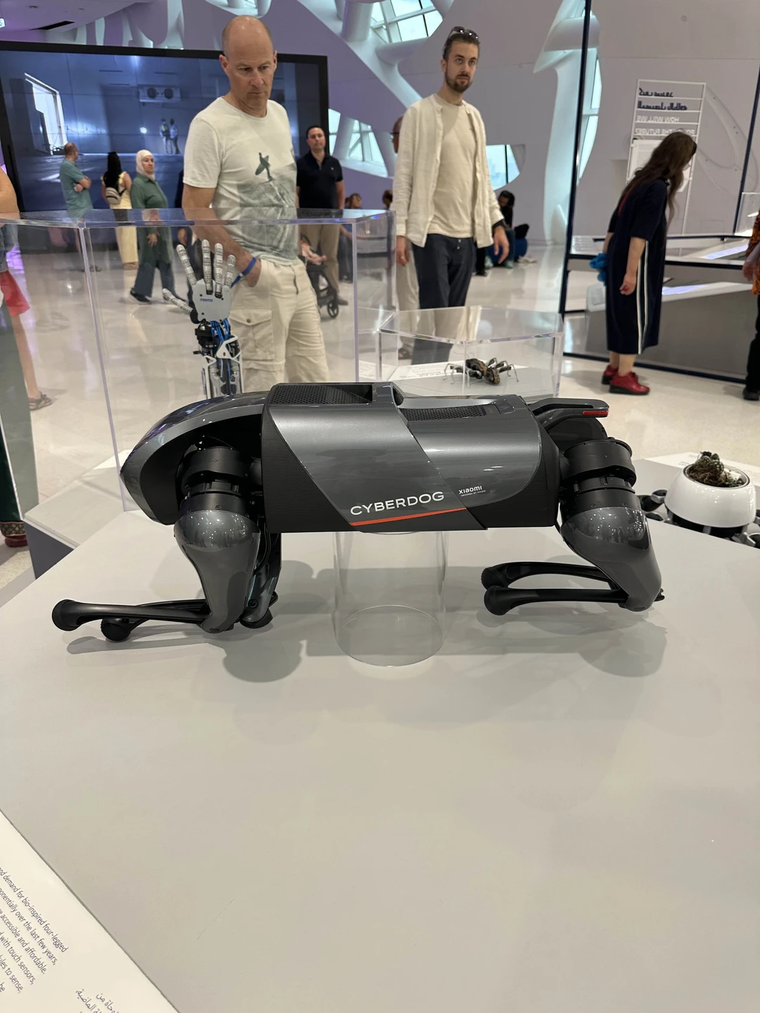 Билеты приобрели быстро. Очень понравился музей будущего! Иммерсивные залы, выставка роботов, медицина будущего, космос, беспилотное такси…