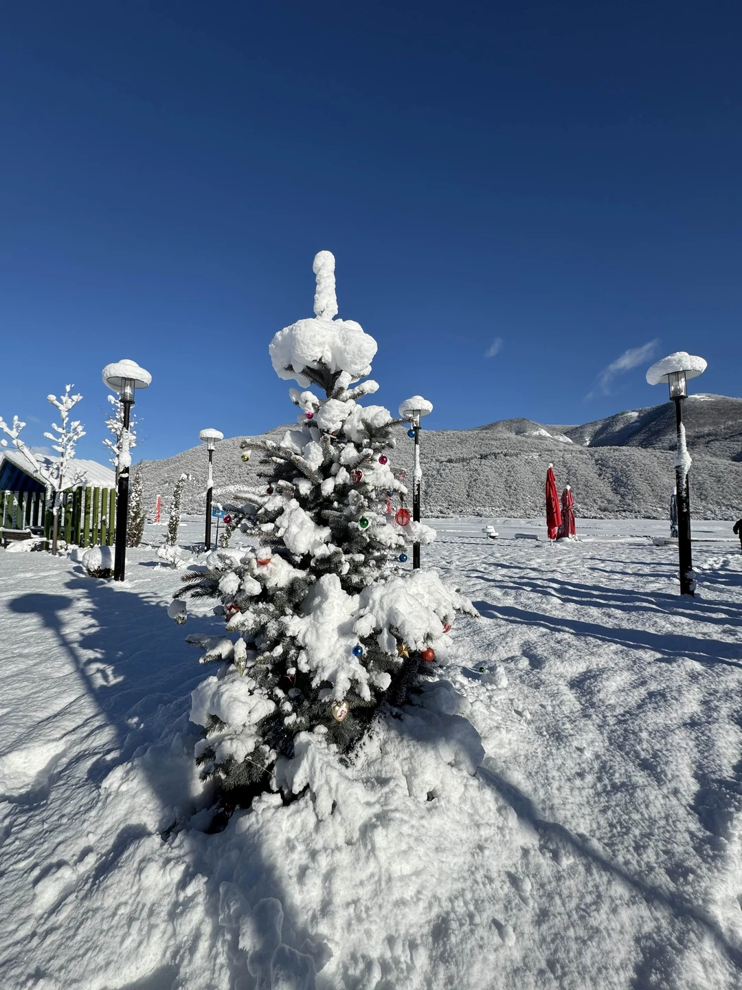 Групповая поездка из Тбилиси - в Казбеги и Гудаури (Ulugbek)