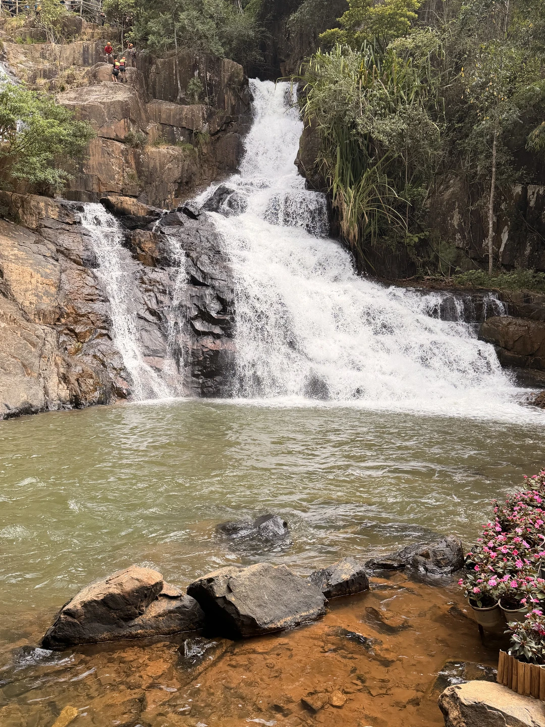 Хотим выразить огромную благодарность гиду Михаилу за замечательную экскурсию в Далат!