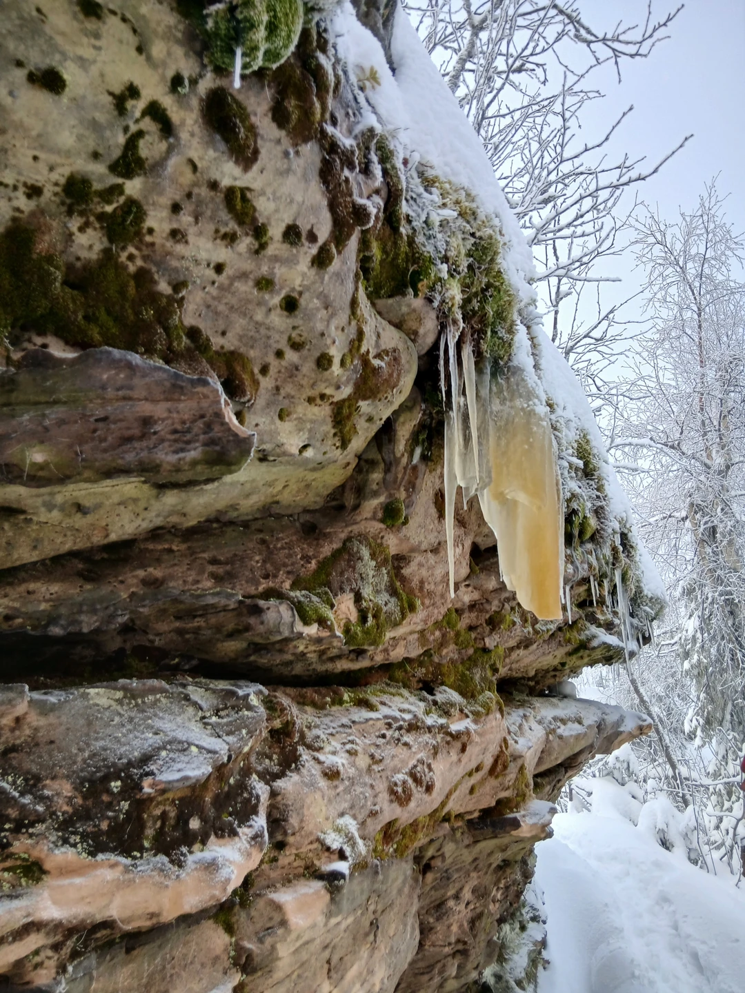 Была на экскурсии 29 ноября. Природа сделала подарок в виде снежного покрова за городом и от