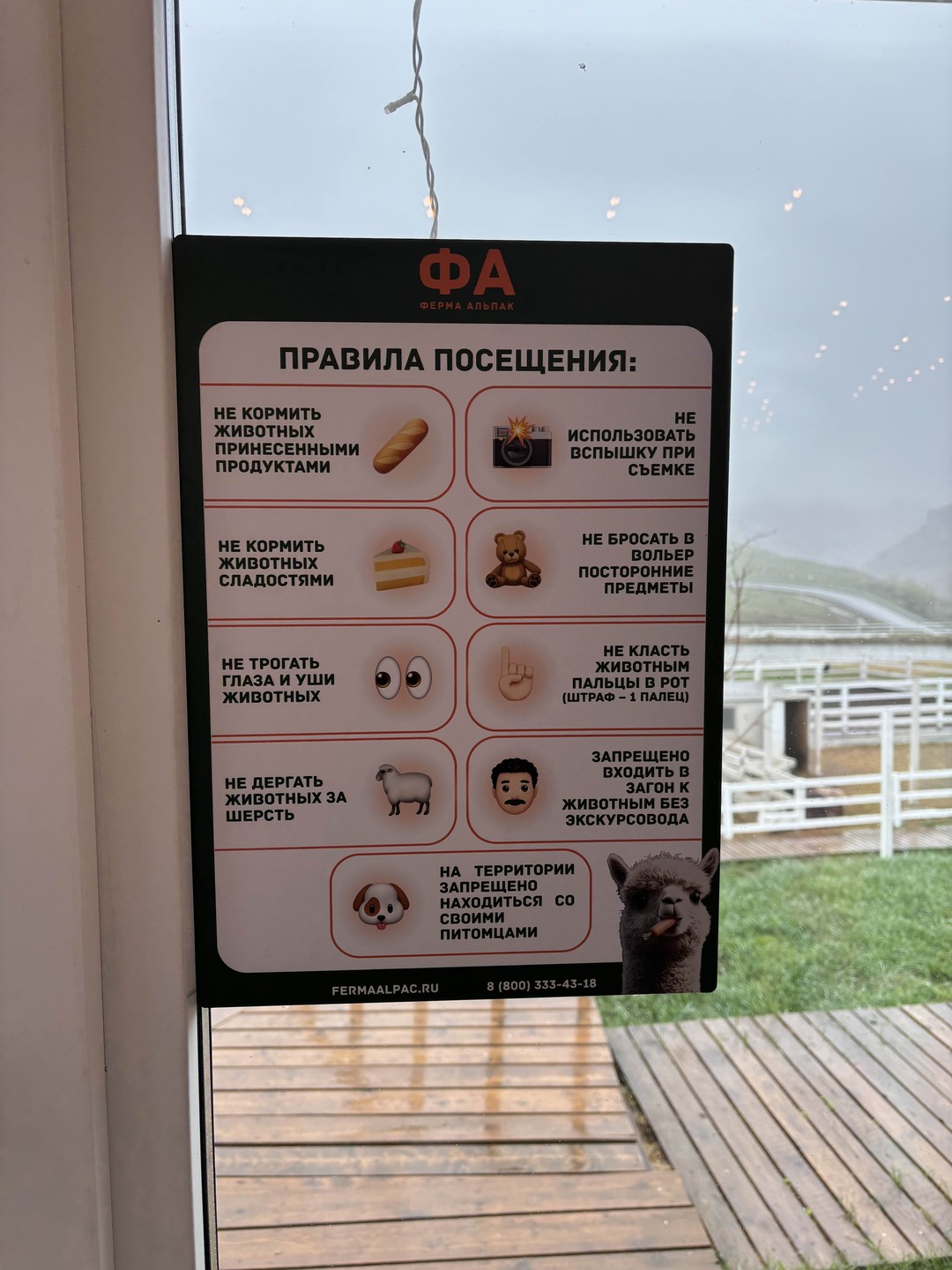 Альпака-парк и Медовые водопады: уютная поездка на полдня (Аристова)