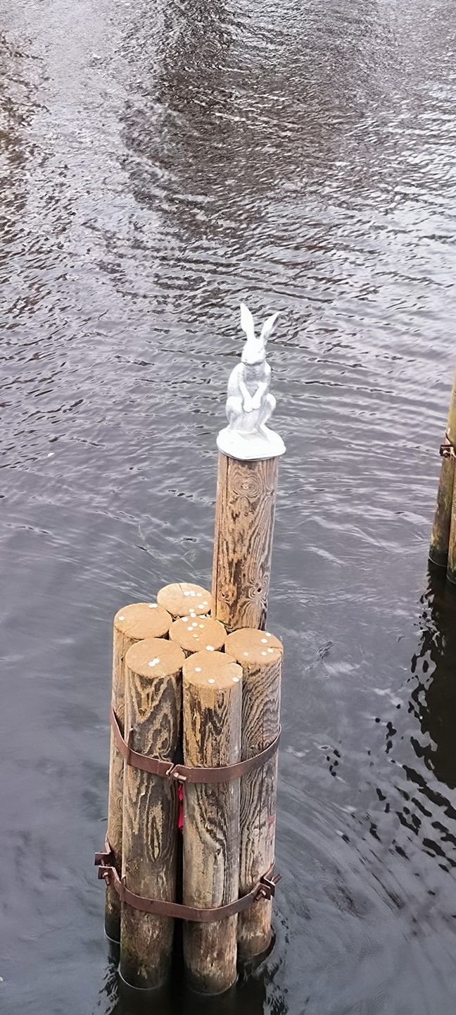 Обзорная экскурсия по Петербургу + посещение Петропавловской крепости (Светлана)