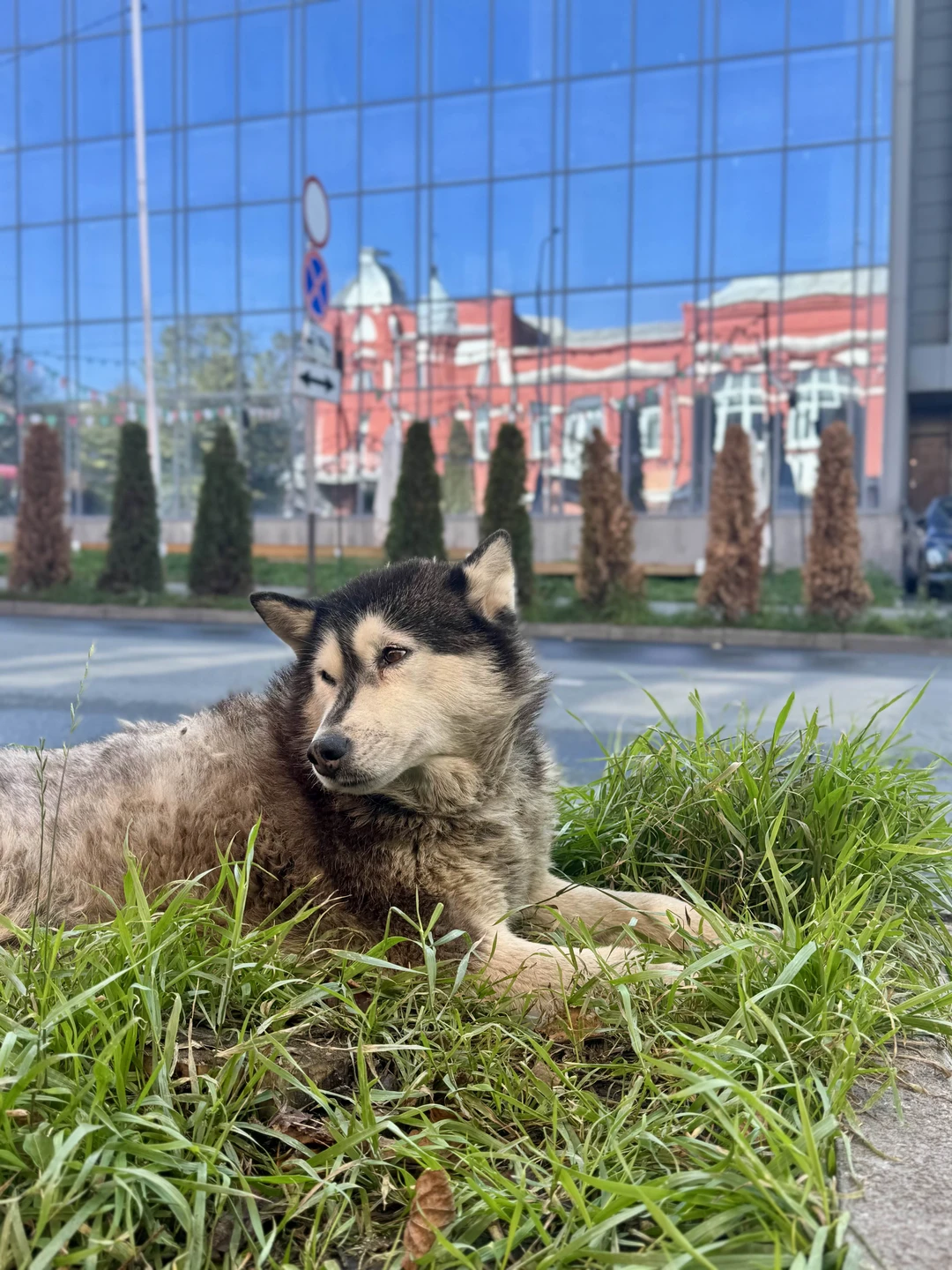 Экскурсия очень понравилась, остались под приятным впечатлением. Отличная прогулка с интересным рассказом об истории города и