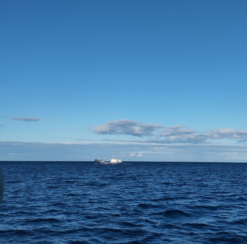 Море впечатлений в Баренцевом море (Гульшат)