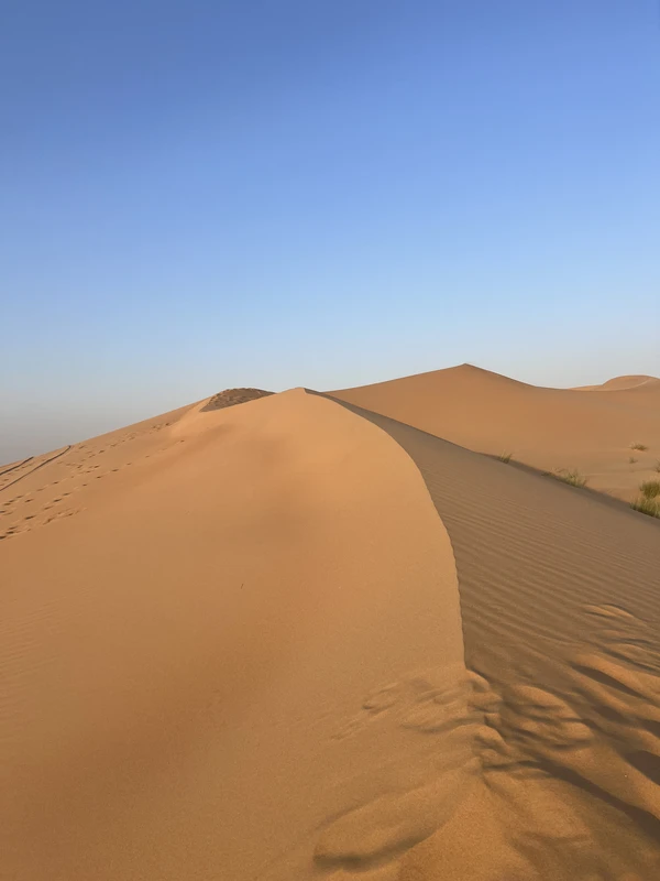 8 Марта в ОАЭ: фототур для женщин в мини-группе с джип-сафари