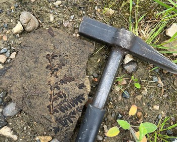 Пермь, Мазуевка и Красноуфимск