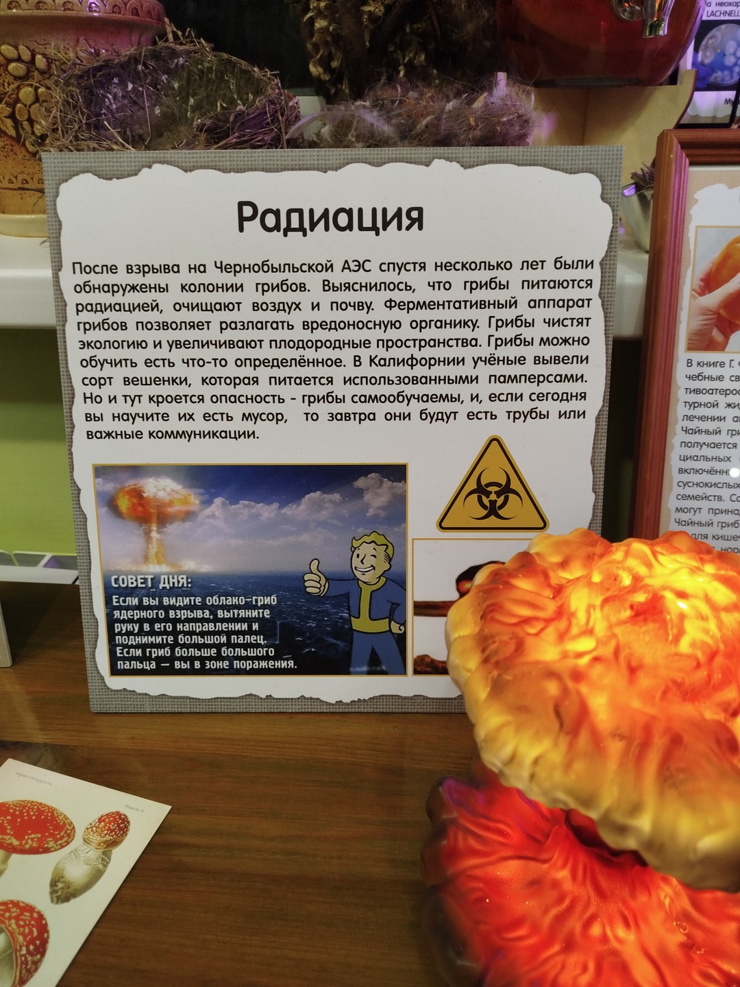 Очень доступная подача материала с долей юмора. Интересно и детям и взрослым. Почувствовали себя детьми. Психоэмоциональная