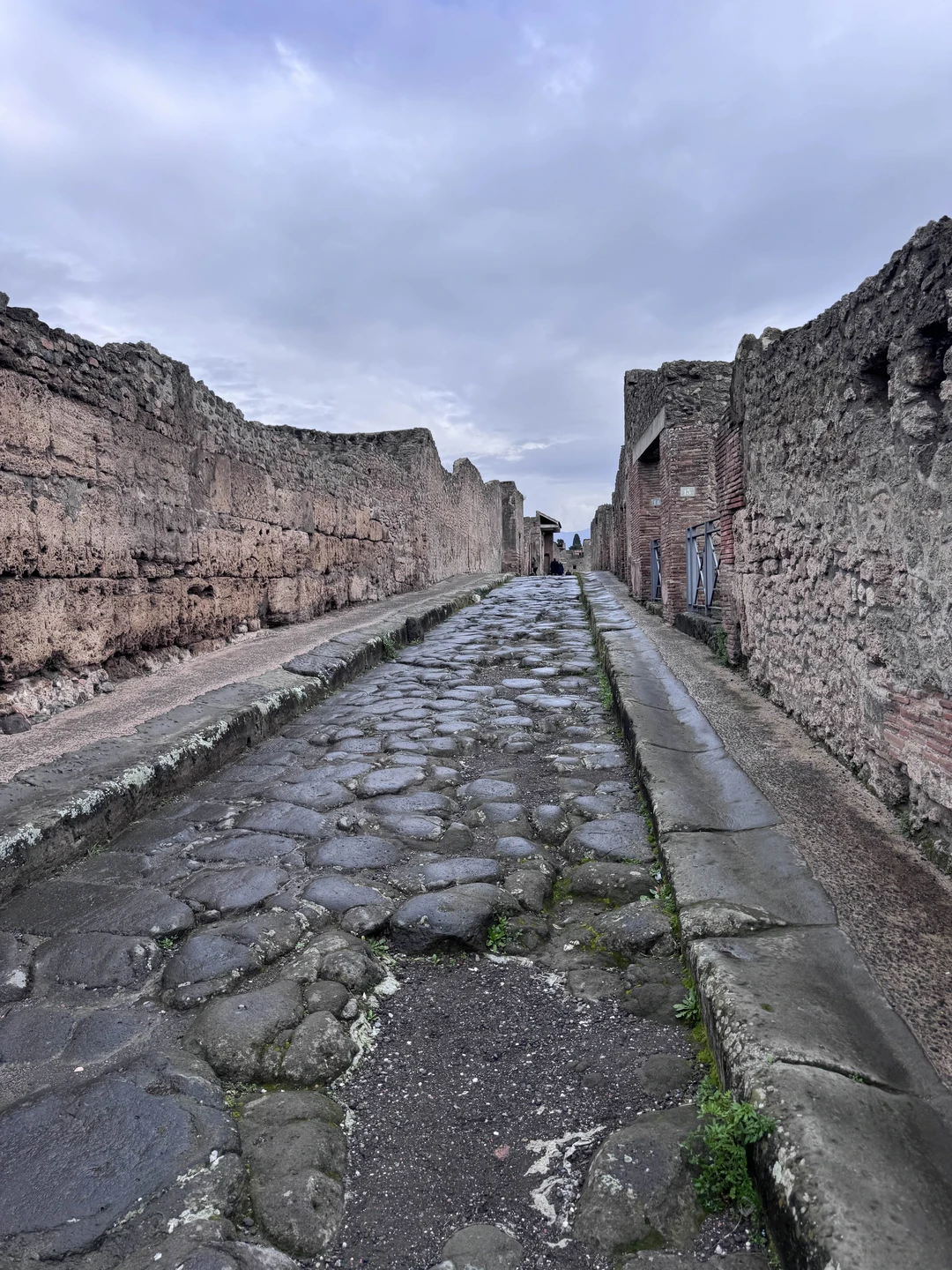 Хорошая экскурсия, чтобы из Рима посетить Помпеи и получить общее представление о Неаполе. Времени в Помпеях