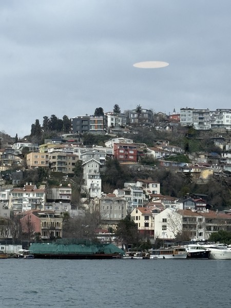 Благодарю за чудесное путешествие по Босфору. Нам очень понравилось! Вкусный и сытный обед, интересная обзорная экскурсия