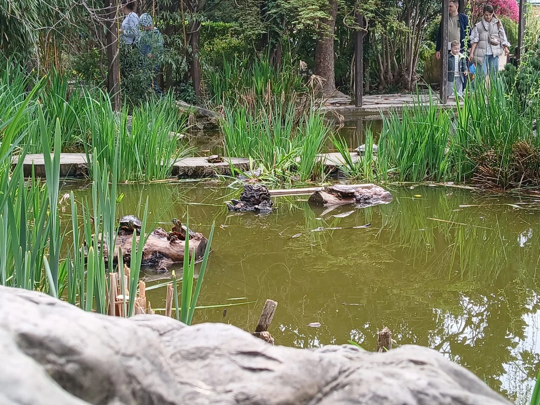 На экскурсии мы были в марте 2025,но до отзыва добралась только сейчас!!!