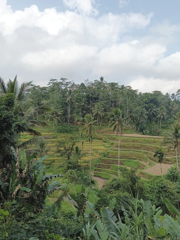 Убуд - сердце культурной жизни Бали
