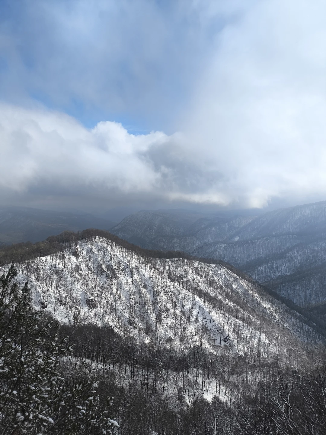Экскурсия очень понравилась
