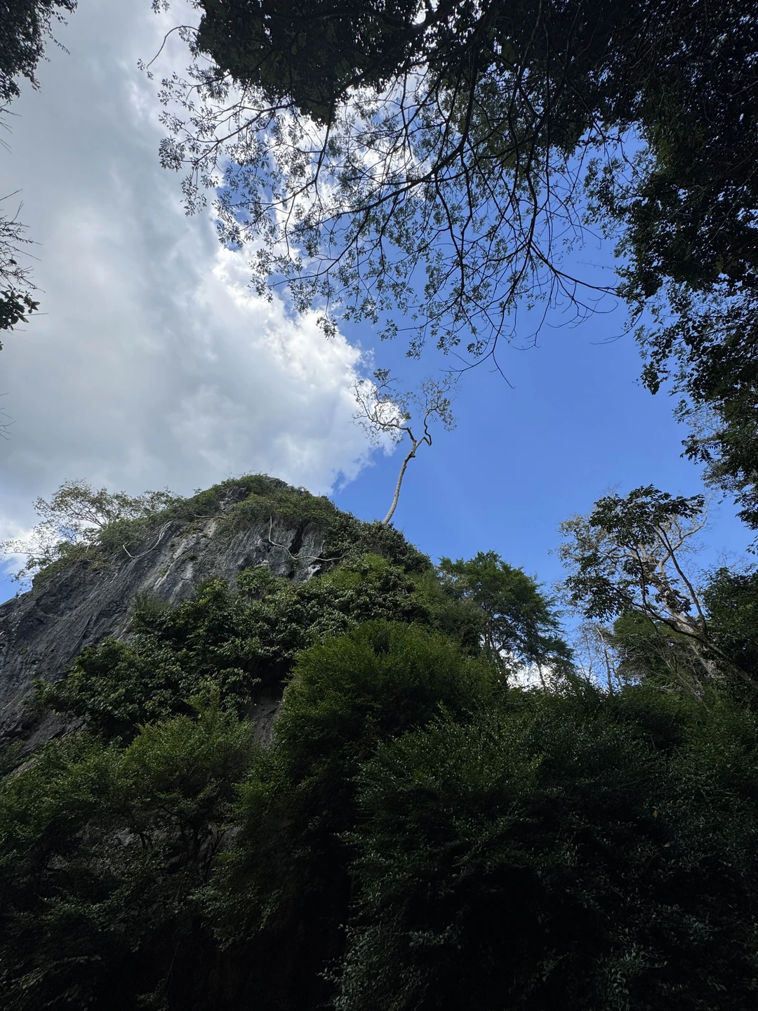 Все прекрасно, встретили вовремя, все рассказали, показали. Рекомендую.