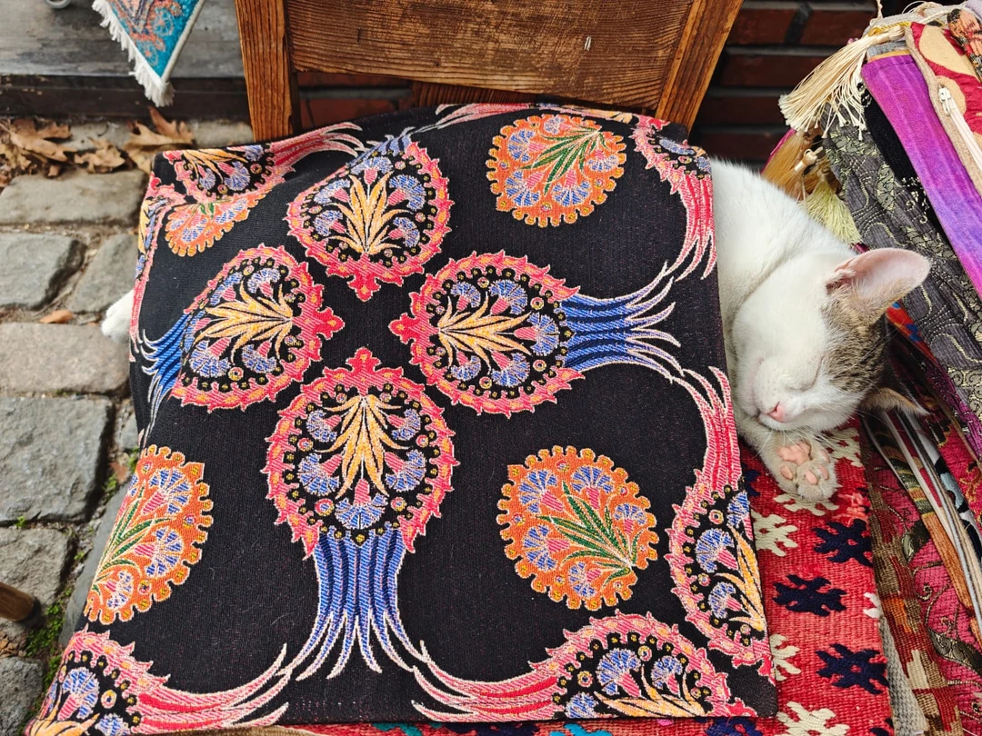 В 3-й раз приезжаю в Стамбул и хотель посмотреть по-новому на этот великолепный город. 3-часовой пеший тур с Джевхером превзошел все мои ожидания!