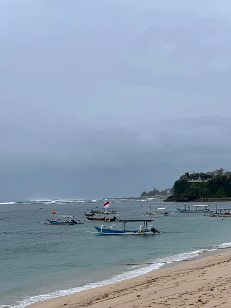 Были 28 января на экскурсии" Живописное путешествие на п-в Букит", остались довольны: гид Сувитри и водитель