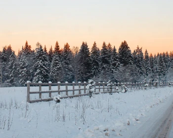 Уличные игры и гулянья, катание с ледяной горки и на музыкальном катке