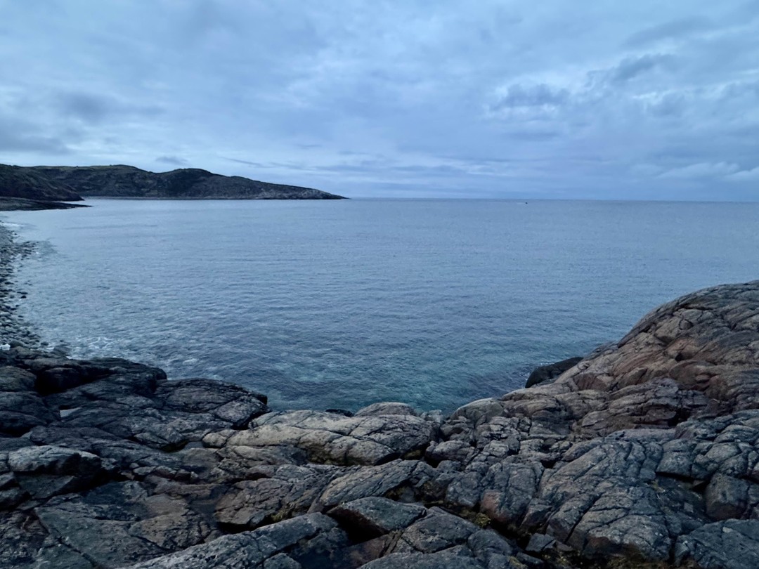 Заказала тур в мини-группе в Териберку у организатора Олеси. Тур «Душевное путешествие в Териберку для гурманов