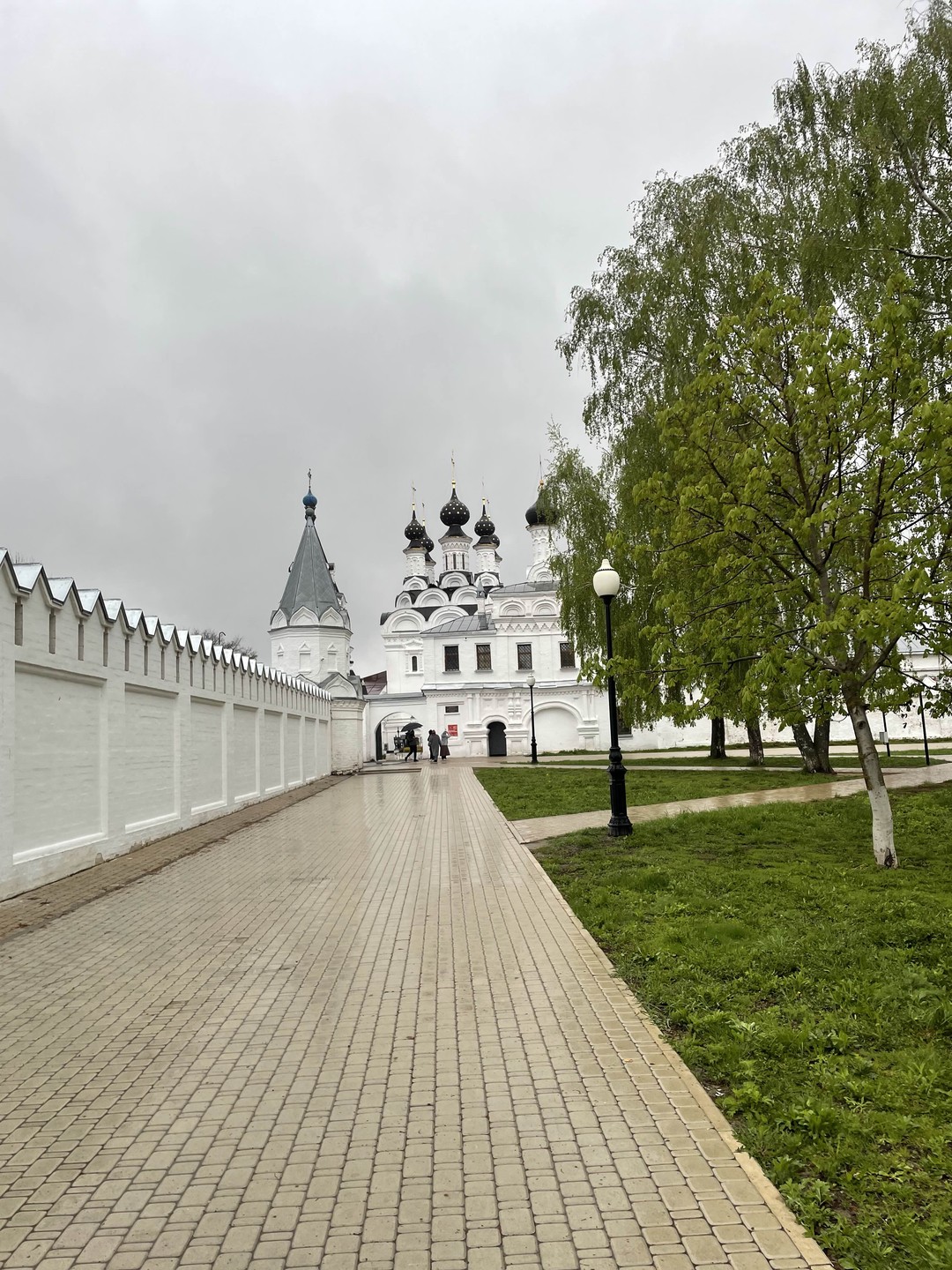 Отличная экскурсия! Мы все остались довольны несмотря на непогоду