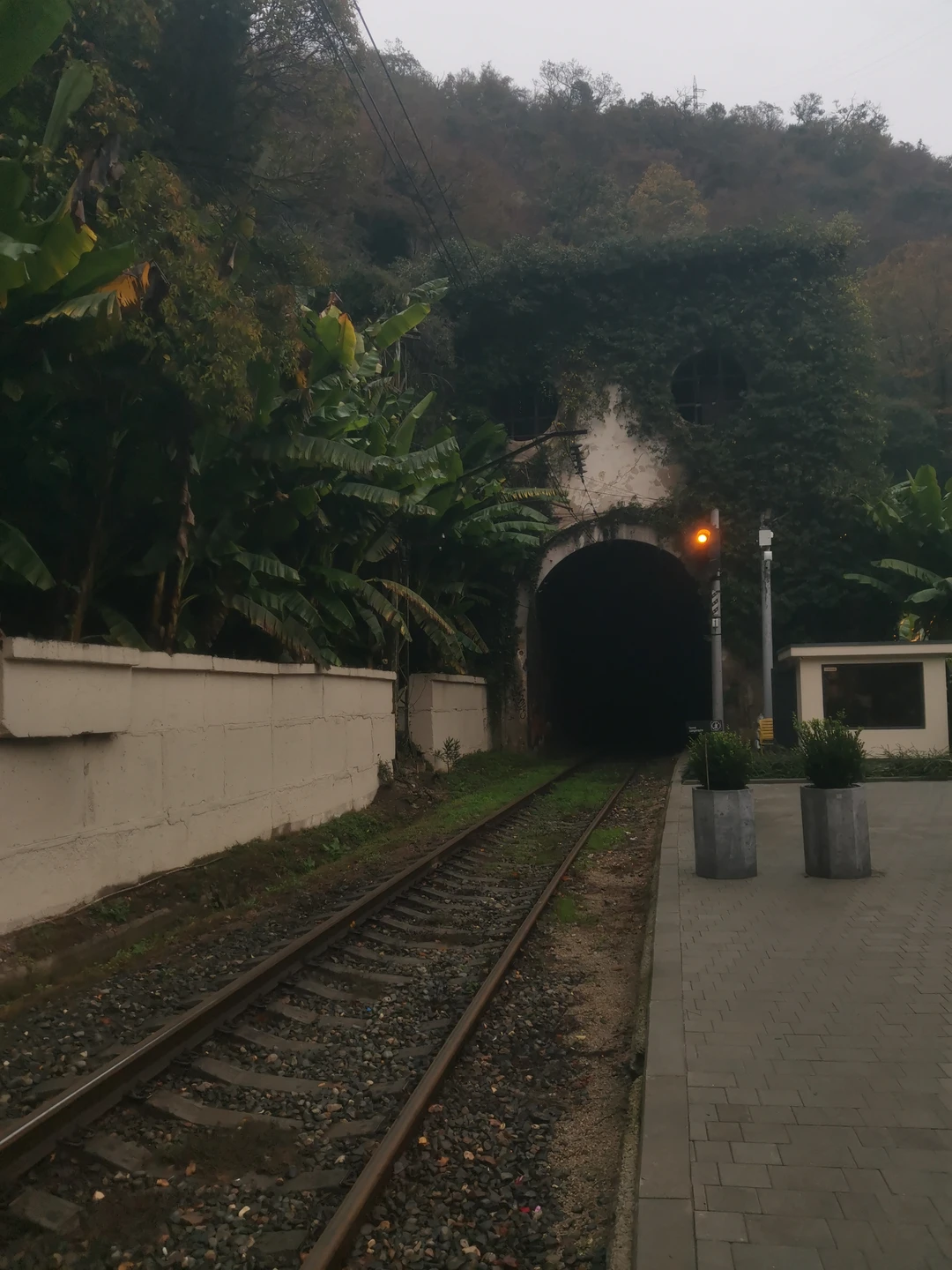 Была проездом в Сочи, но вкус когда-то давно попробованного Абхазского вина забыть невозможно. Поэтому я специально