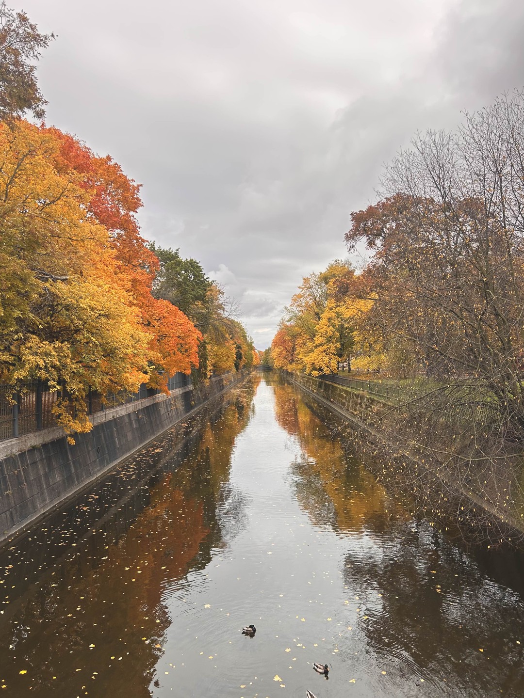 Автобусная экскурсия из Петербурга «Кронштадт - Петергоф» (Алина)