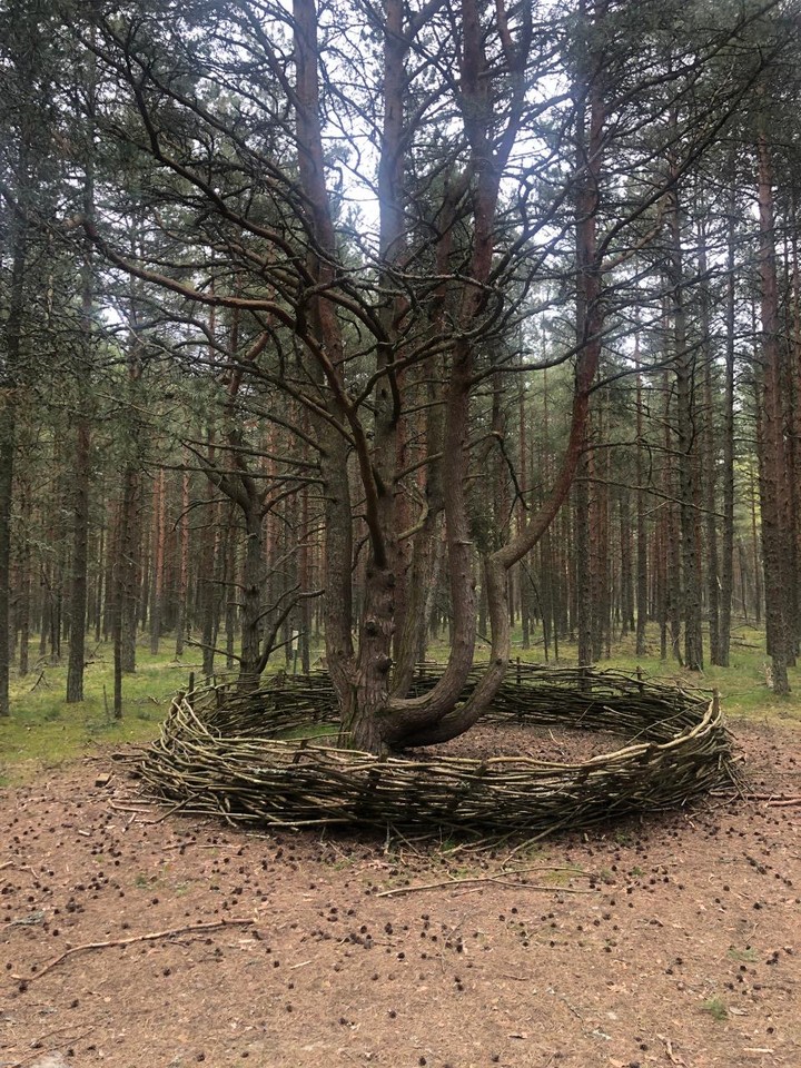 На автобусе к Куршской косе и Зеленоградску (Светлана)