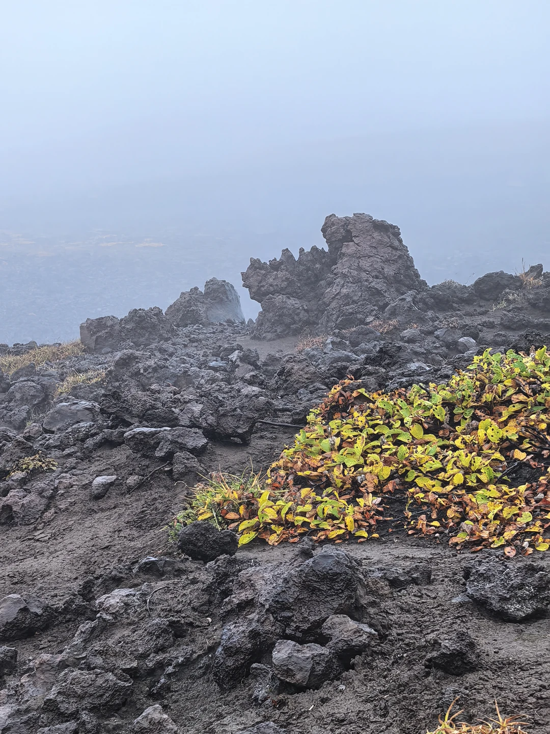 Путешествие на джипе на вулкан Горелый с восхождением (Анна)