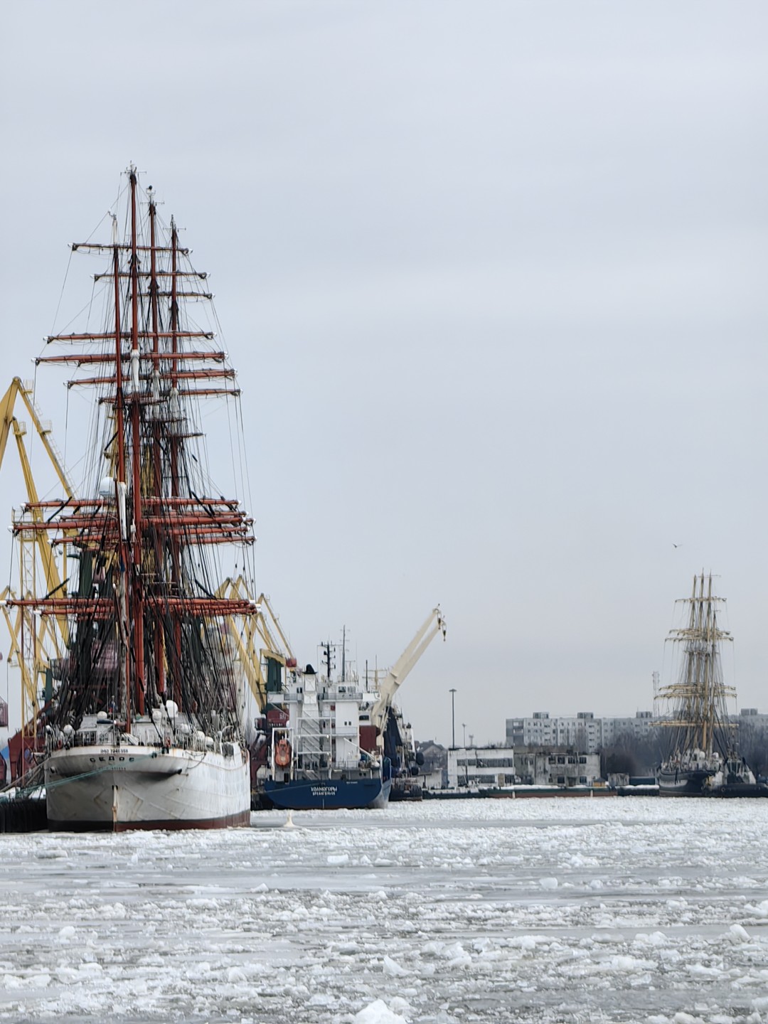 Трансфер из аэропорта Калининграда с обзорной экскурсией по городу (Мария)